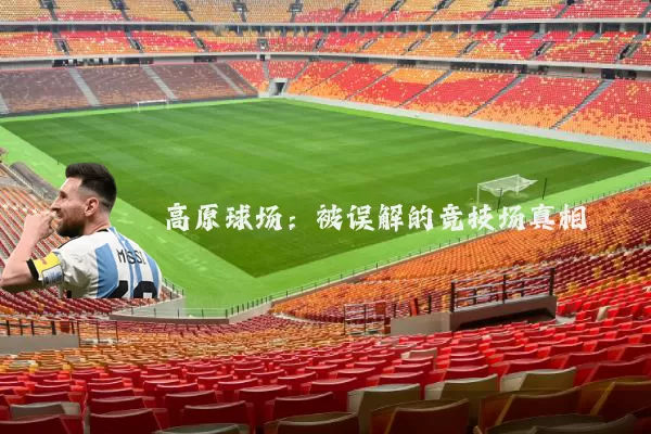 高原球场：被误解的竞技场真相